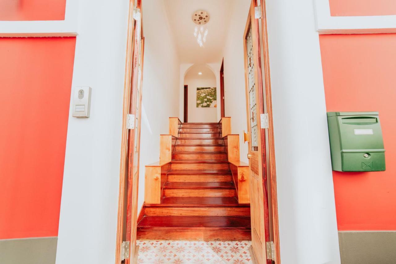 Casa Strelitzia Appartement Funchal  Buitenkant foto